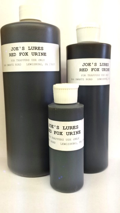 Red Fox Urine